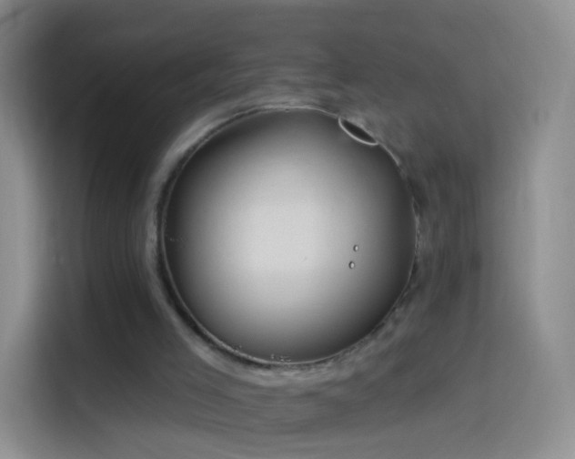 X0000114120005200910131413