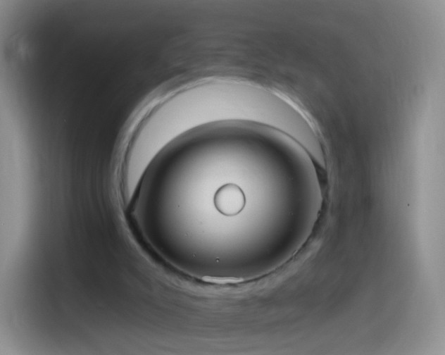 X0000114120007200910131413