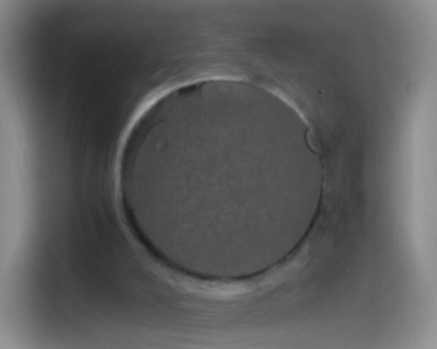 X0000114120008200910131413