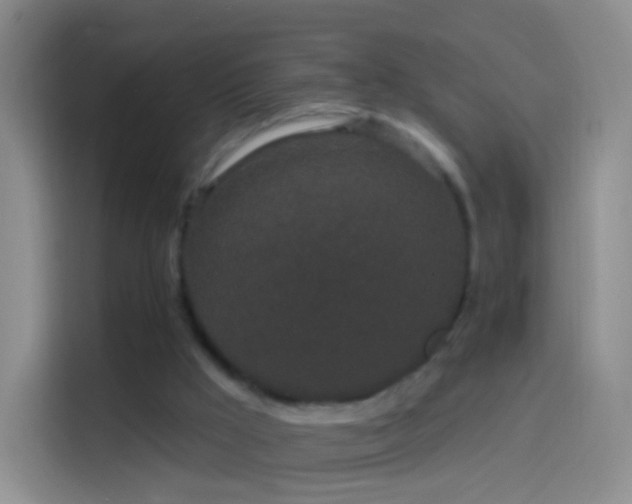 X0000114120009200910131413