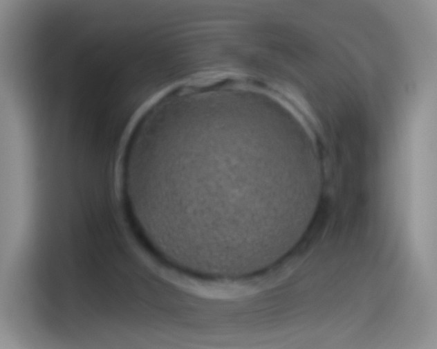 X0000114120012200910131413