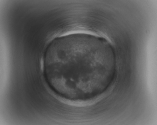 X0000114120014200910131413