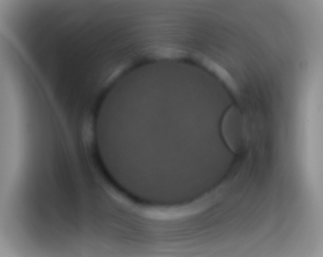 X0000114120017200910131413