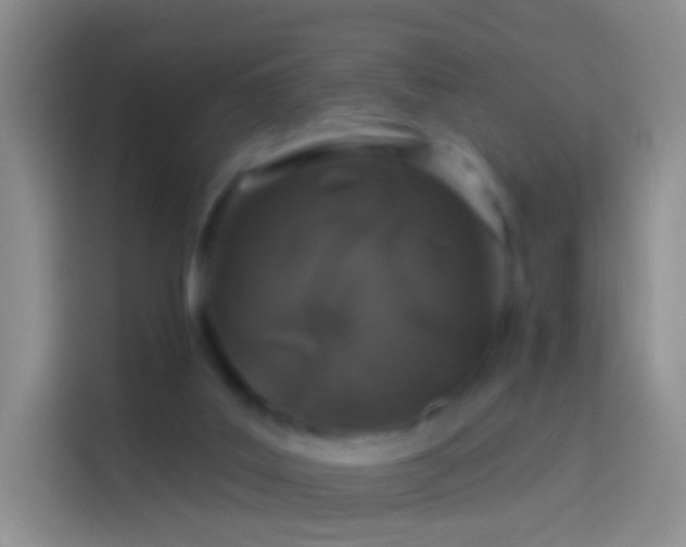 X0000114120019200910131413