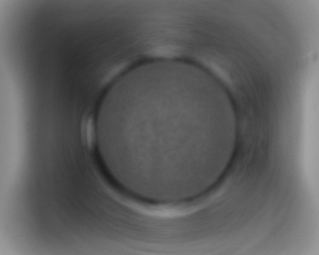 X0000114120020200910131413