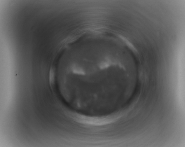 X0000114120026200910131413