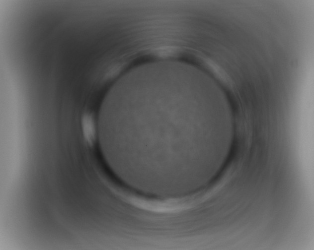 X0000114120028200910131413