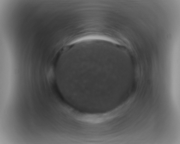 X0000114120029200910131413