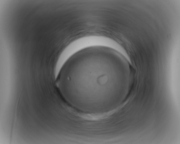 X0000114120033200910131413