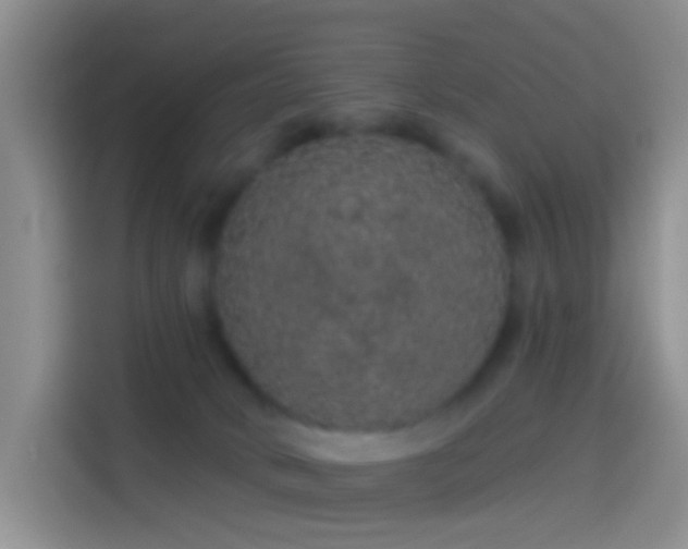 X0000114120034200910131413