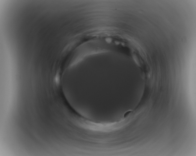 X0000114120035200910131413