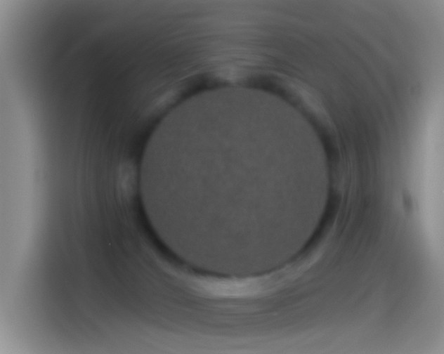 X0000114120036200910131413