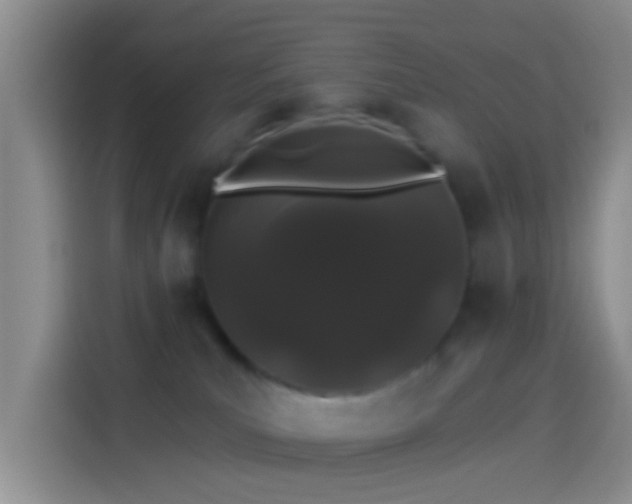 X0000114120039200910131413