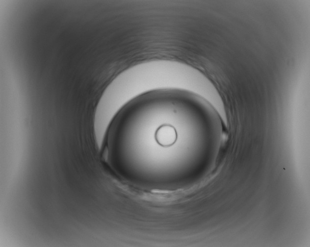 X0000114120041200910131413