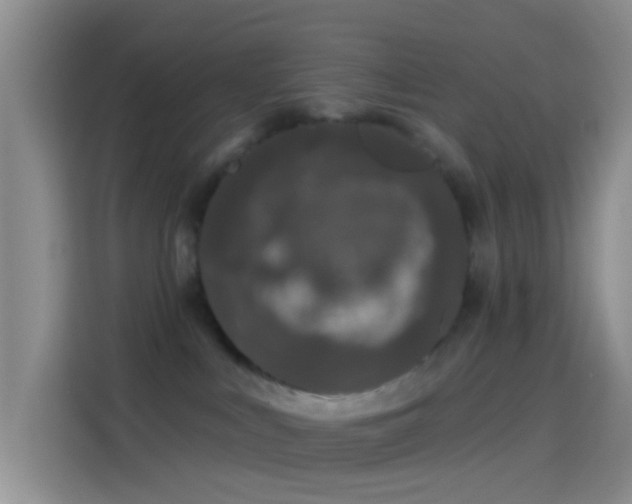 X0000114120043200910131413