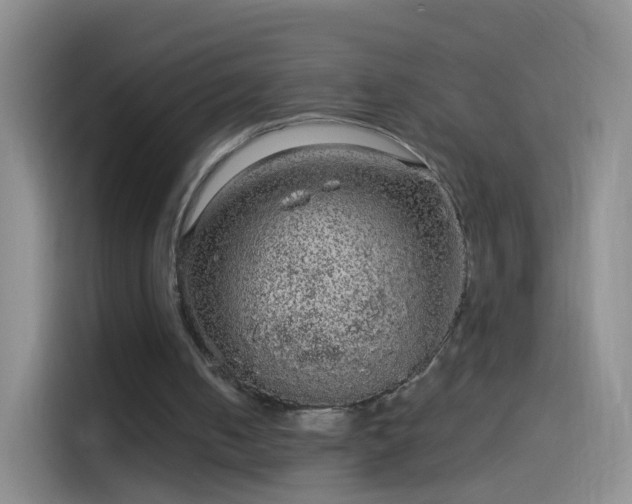 X0000114120050200910131412