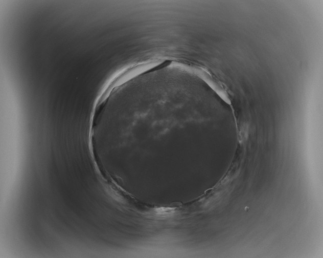 X0000114120052200910131412