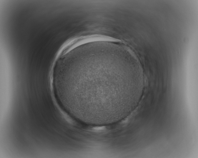 X0000114120054200910131412