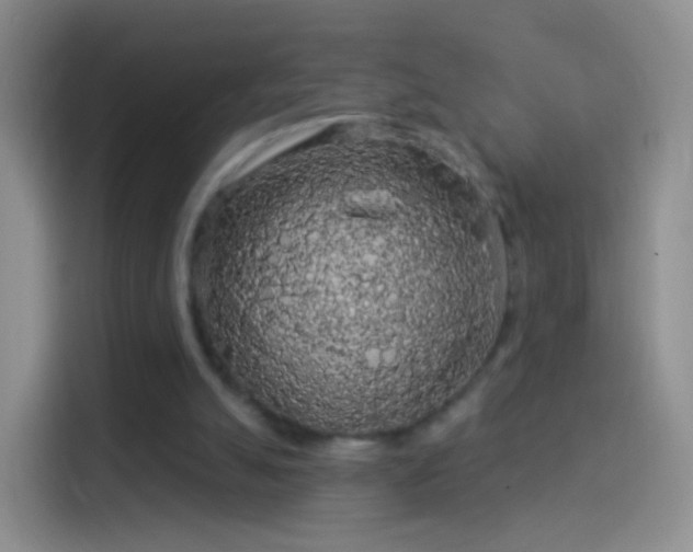 X0000114120055200910131412