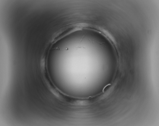 X0000114120057200910131412