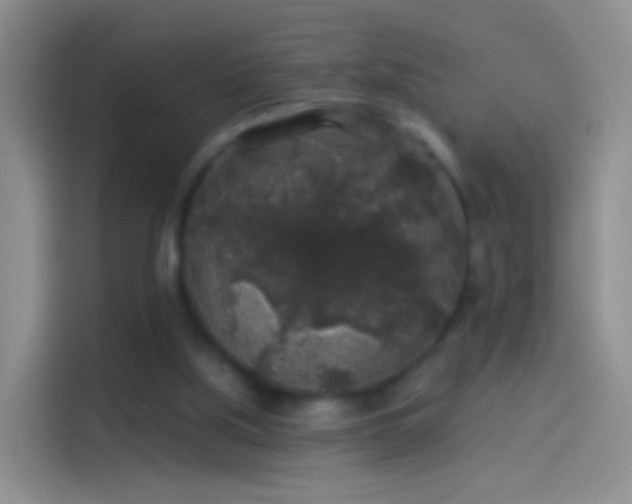 X0000114120059200910131412