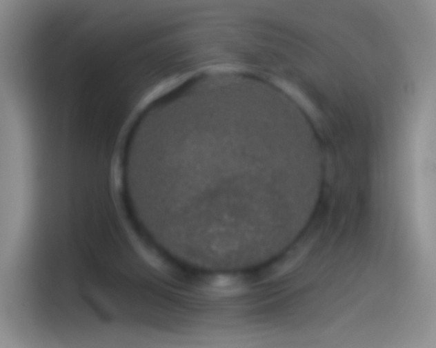 X0000114120060200910131412