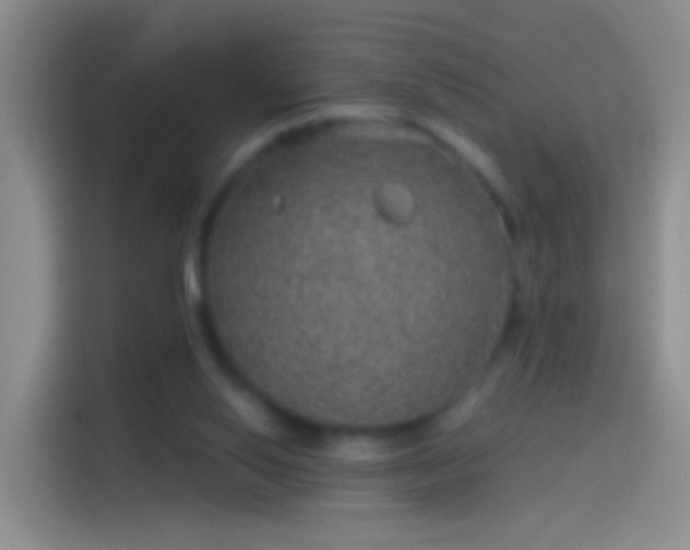 X0000114120062200910131412