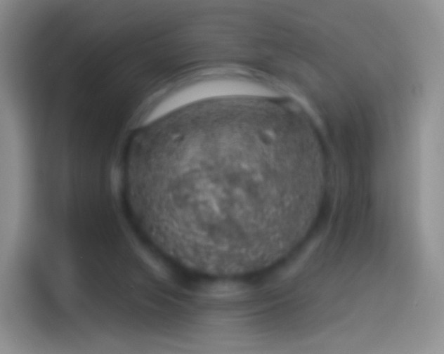 X0000114120063200910131412