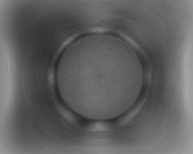 X0000114120064200910131412