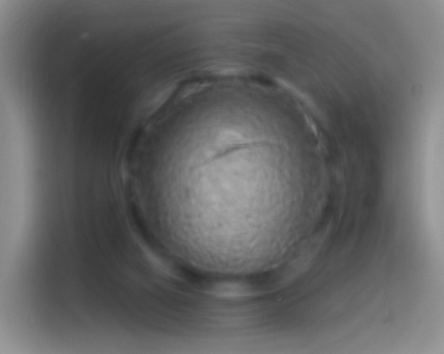 X0000114120066200910131412