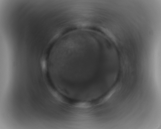 X0000114120067200910131412