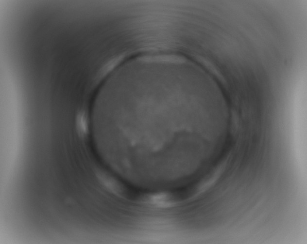 X0000114120068200910131412