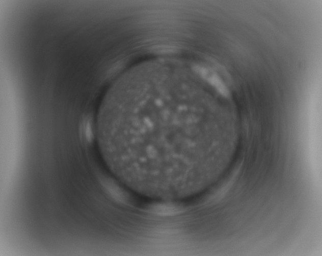 X0000114120069200910131412