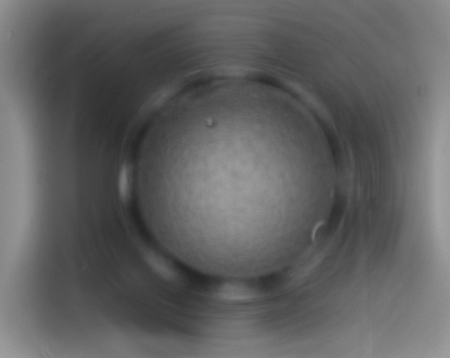 X0000114120070200910131412