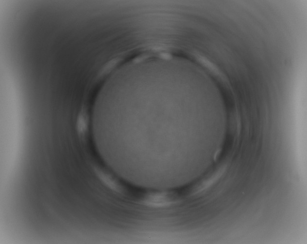 X0000114120072200910131412