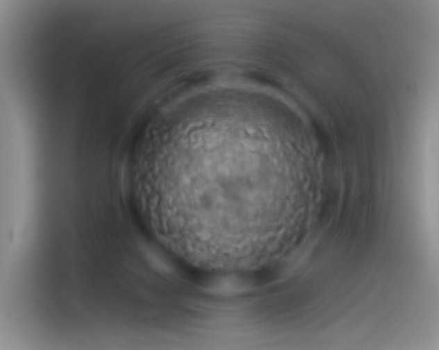 X0000114120074200910131412