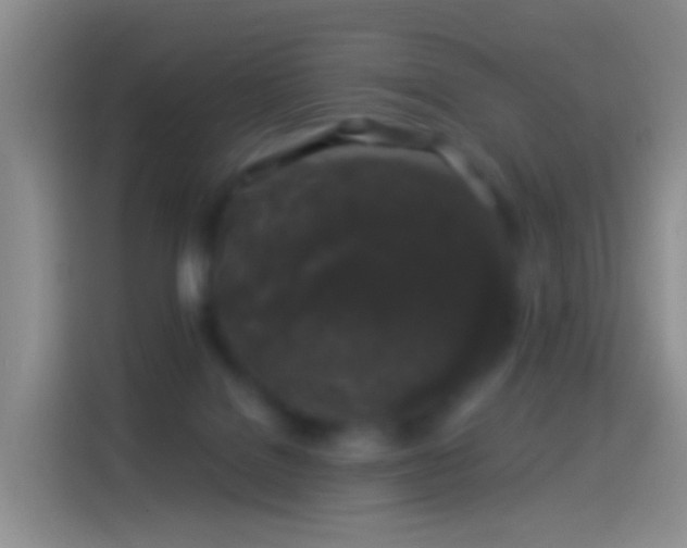 X0000114120076200910131412