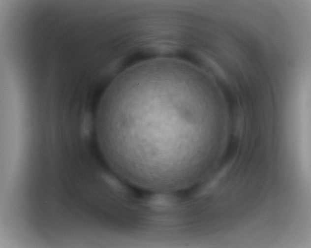 X0000114120077200910131412