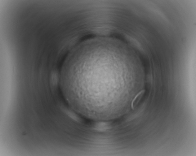 X0000114120081200910131412