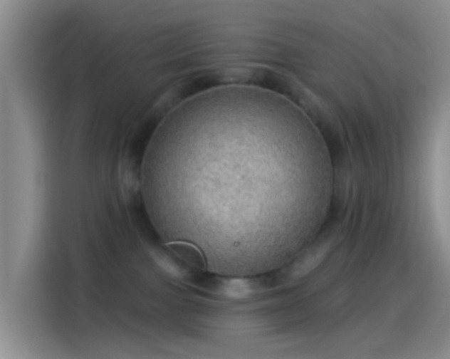 X0000114120091200910131412