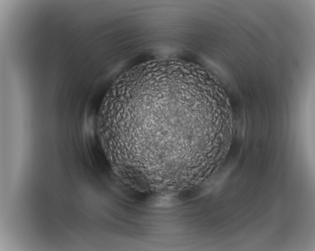 X0000114120093200910131413