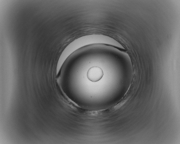 X0000114120096200910131413