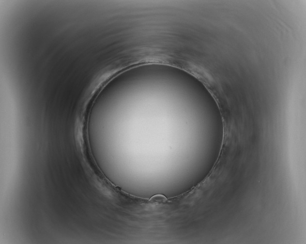 X0000114120098200910131412