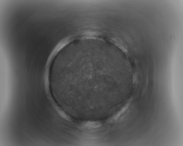 X0000114120101200910131412