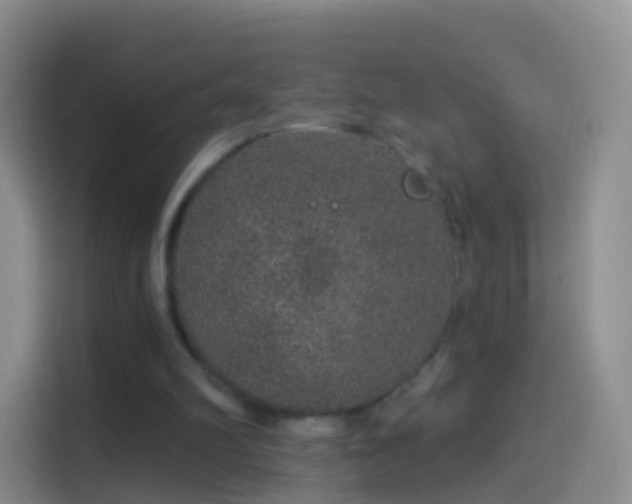 X0000114120102200910131412