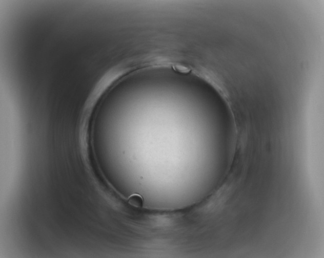 X0000114120103200910131412