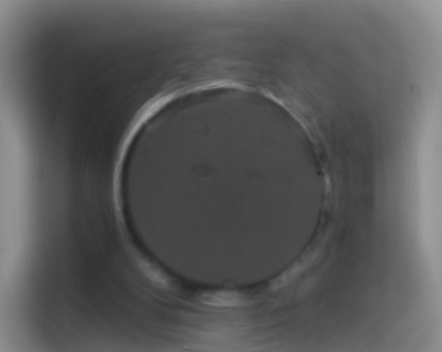 X0000114120104200910131412