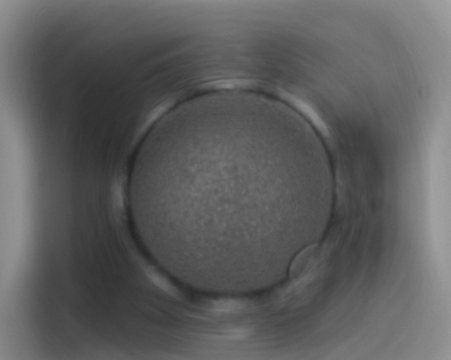 X0000114120105200910131412