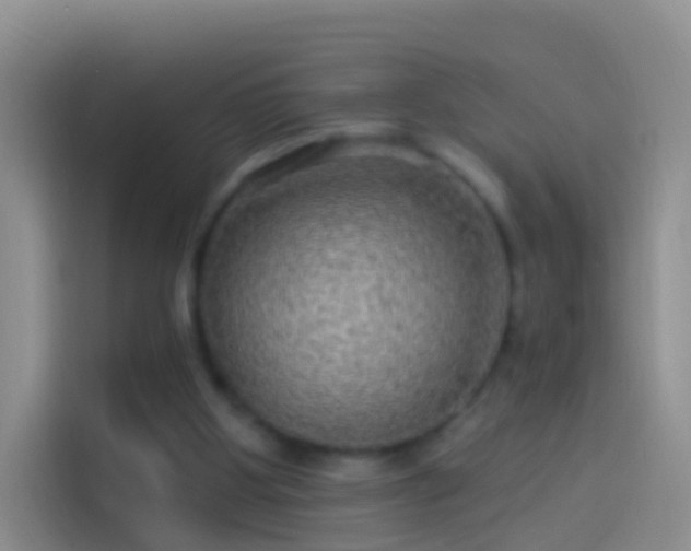 X0000114120107200910131412