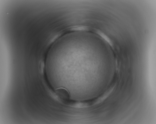 X0000114120109200910131412